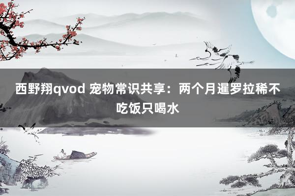 西野翔qvod 宠物常识共享:两个月暹罗拉稀不吃饭只喝水