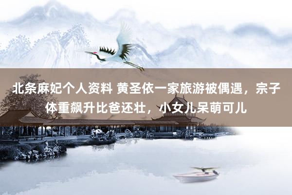 北条麻妃个人资料 黄圣依一家旅游被偶遇,宗子体重飙升比爸还壮,小女儿呆萌可儿