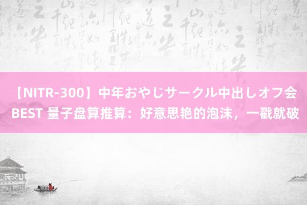 【NITR-300】中年おやじサークル中出しオフ会 BEST 量子盘算推算:好意思艳的泡沫,一戳就破