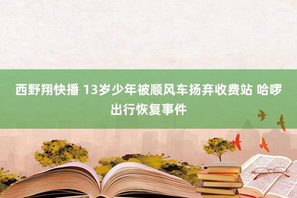 西野翔快播 13岁少年被顺风车扬弃收费站 哈啰出行恢复事件