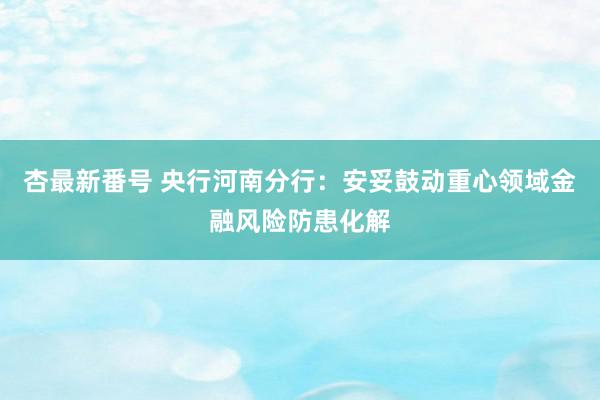 杏最新番号 央行河南分行:安妥鼓动重心领域金融风险防患化解