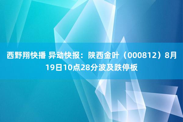 西野翔快播 异动快报:陕西金叶(000812)8月19日10点28分波及跌停板