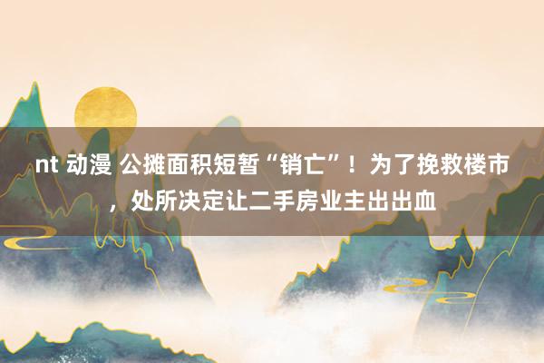nt 动漫 公摊面积短暂“销亡”!为了挽救楼市,处所决定让二手房业主出出血