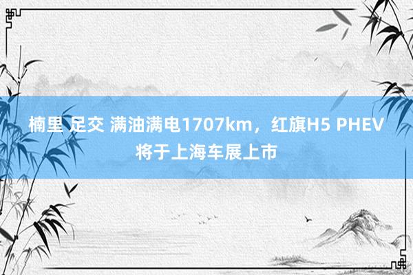 楠里 足交 满油满电1707km，红旗H5 PHEV将于上海车展上市