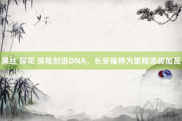 黑丝 探花 探险刻进DNA，长安福特为旅程添砖加瓦