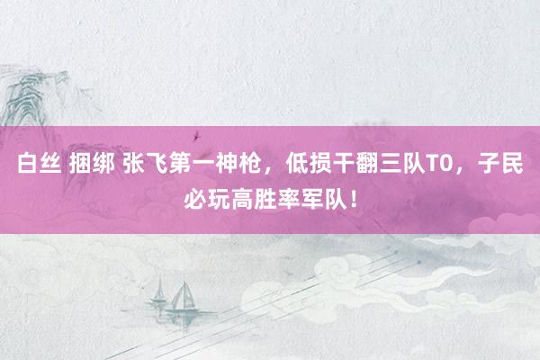 白丝 捆绑 张飞第一神枪，低损干翻三队T0，子民必玩高胜率军队！